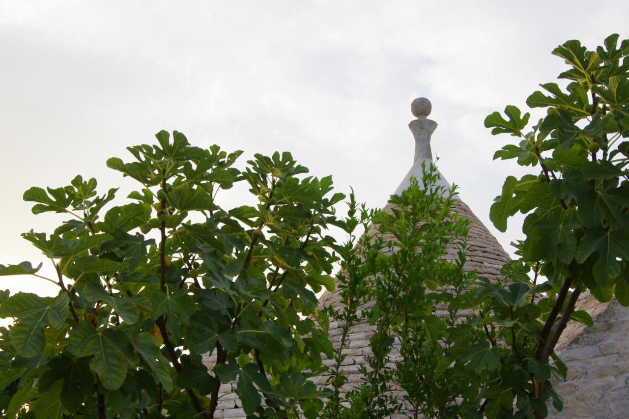 Masseria Sciaiani Piccola Villa Castelli Exteriör bild