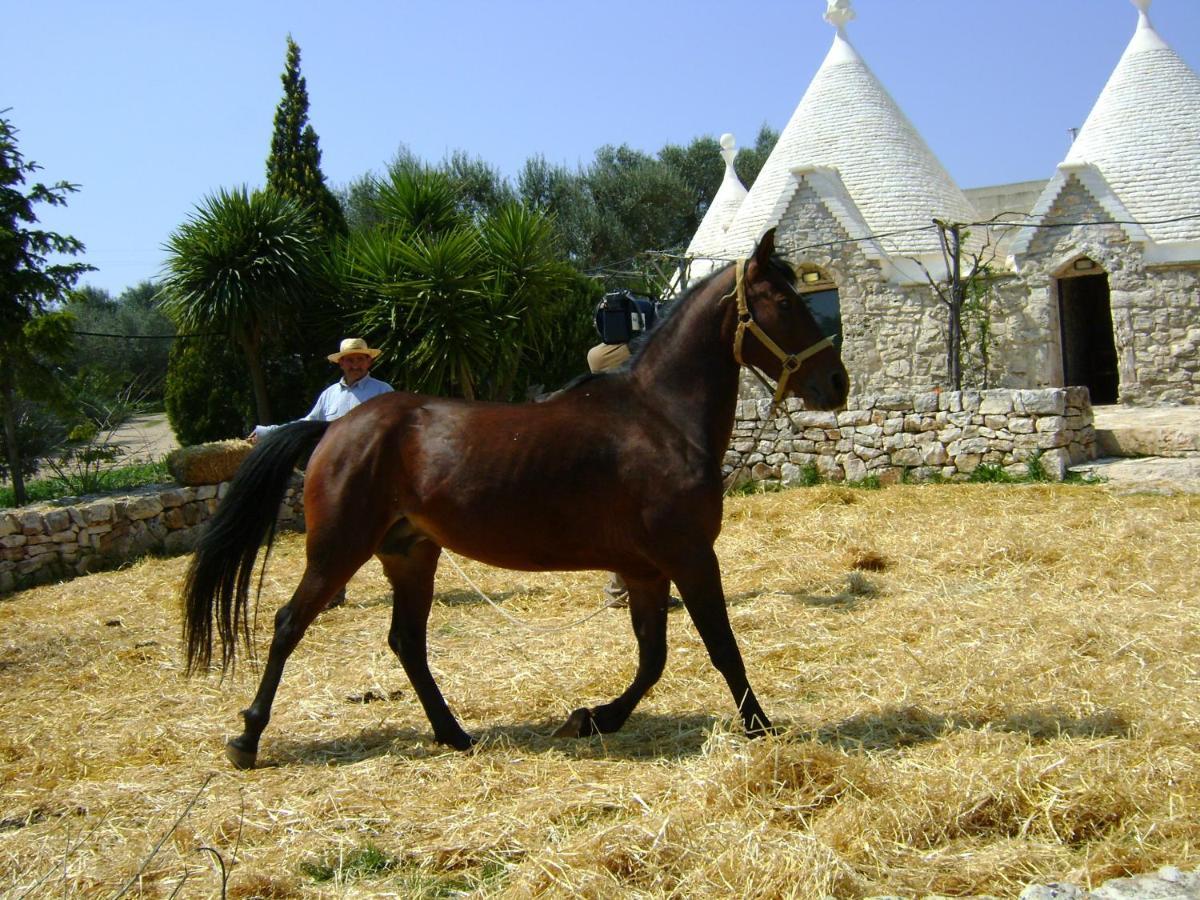 Masseria Sciaiani Piccola Villa Castelli Exteriör bild